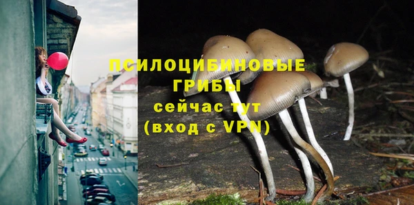 мяу мяу кристалл Елизово
