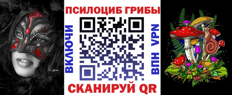Псилоцибиновые грибы прущие грибы  blacksprut онион  Унеча  купить наркотики сайты 